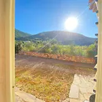 Verde * Tertenìa