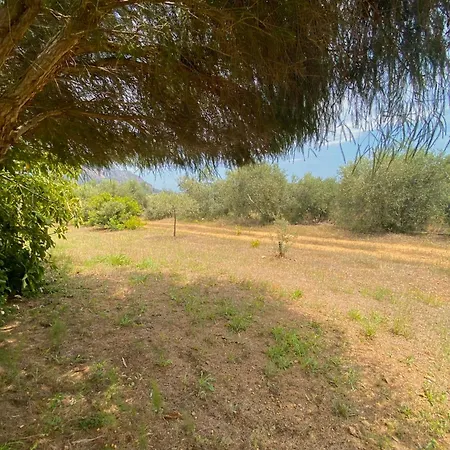 Verde * Tertenìa